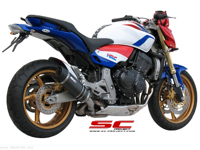 Oval Exhaust Honda CB600F 599 2013 H02 12
