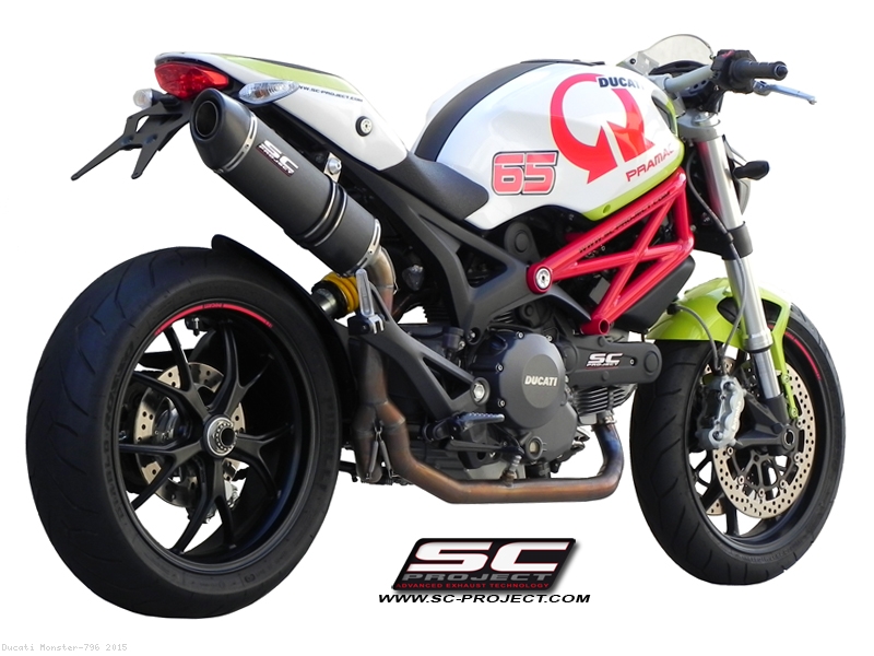 Oval Exhaust Ducati / Monster 796 / 2015 (D04B-C02)