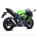  Kawasaki / Ninja ZX-6R 636 / 2021