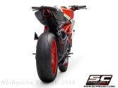  MV Agusta / F3 800 / 2019