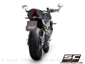  Triumph / Street Triple RS 765 / 2021