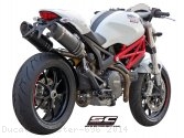 Oval Exhaust by SC-Project Ducati / Monster 696 / 2014