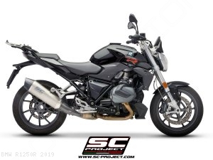  BMW / R1250R / 2019