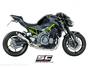  Kawasaki / Z900 / 2019