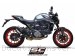  Ducati / Monster 950+ / 2022