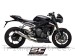  Triumph / Street Triple RS 765 / 2020