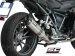 Oval Exhaust by SC-Project BMW / R1200R / 2015