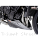  Triumph / Street Triple RS 765 / 2024